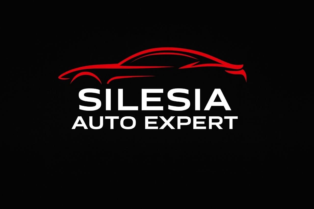 Sprawdzenie auta przed zakupem Katowice – Silesia Auto Expert
